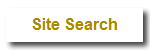 Site Search